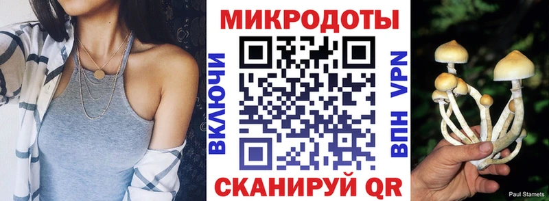 цены   Горняк  Псилоцибиновые грибы мицелий 